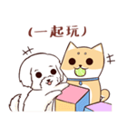 Shine the Shiba Inu（個別スタンプ：14）