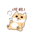 Shine the Shiba Inu（個別スタンプ：18）