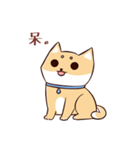 Shine the Shiba Inu（個別スタンプ：22）