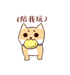 Shine the Shiba Inu（個別スタンプ：23）