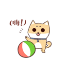 Shine the Shiba Inu（個別スタンプ：26）