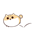 Shine the Shiba Inu（個別スタンプ：27）