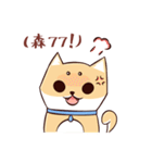 Shine the Shiba Inu（個別スタンプ：30）