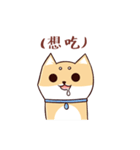 Shine the Shiba Inu（個別スタンプ：31）