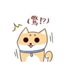 Shine the Shiba Inu（個別スタンプ：35）