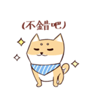 Shine the Shiba Inu（個別スタンプ：36）