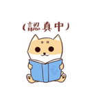 Shine the Shiba Inu（個別スタンプ：39）