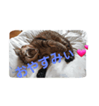 yuutiko（個別スタンプ：2）