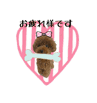 くぅちゃんの使えるスタンプ（個別スタンプ：8）