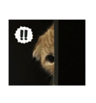 ねこฅ^._.^ฅすた。3（個別スタンプ：7）