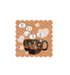 ほっぺたネコぴょこ（個別スタンプ：12）