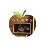 ほっぺたネコぴょこ（個別スタンプ：13）