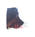 ピンプー（個別スタンプ：3）
