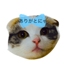 めめ。パート2（個別スタンプ：6）