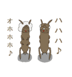昆虫ロード（個別スタンプ：8）