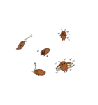 昆虫ロード（個別スタンプ：19）