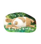 もふもふスタンプ その1（個別スタンプ：1）