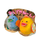 もふもふスタンプ その1（個別スタンプ：16）