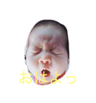 河本家（個別スタンプ：4）