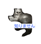 ティムとメイ（個別スタンプ：1）