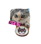 ティムとメイ（個別スタンプ：2）