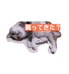 ティムとメイ（個別スタンプ：4）
