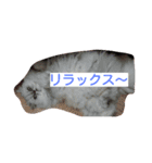ティムとメイ（個別スタンプ：6）