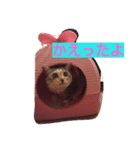 ティムとメイ（個別スタンプ：7）
