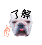 bu_bu_bunta（個別スタンプ：8）