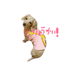 大好きこたうめ（個別スタンプ：4）