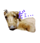 大好きこたうめ（個別スタンプ：7）