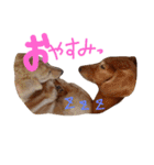大好きこたうめ（個別スタンプ：9）