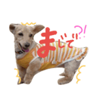 大好きこたうめ（個別スタンプ：15）