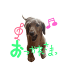 大好きこたうめ（個別スタンプ：16）