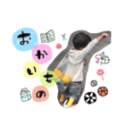 abe children sticker（個別スタンプ：15）
