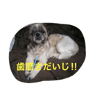 SI-ZU- Lover（個別スタンプ：7）