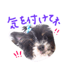 パギーのそら（個別スタンプ：9）