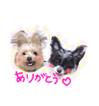 パギーのそら（個別スタンプ：16）