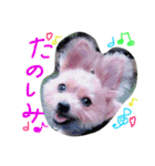 パギーのそら（個別スタンプ：18）