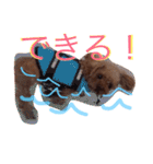 ティーカッププードルのカイ（個別スタンプ：5）