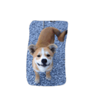 ソラ君の日常（個別スタンプ：5）