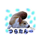 ミント♡スタンプ（個別スタンプ：5）