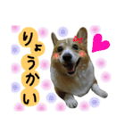 ミント♡スタンプ（個別スタンプ：23）