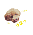 モコモコmuu（個別スタンプ：3）