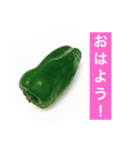 北海道の野菜だよ！（個別スタンプ：1）
