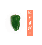 北海道の野菜だよ！（個別スタンプ：4）