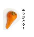 北海道の野菜だよ！（個別スタンプ：5）