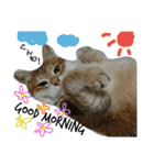 ミミとココ（個別スタンプ：4）
