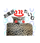 ミミとココ（個別スタンプ：5）