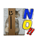 ミミとココ（個別スタンプ：20）